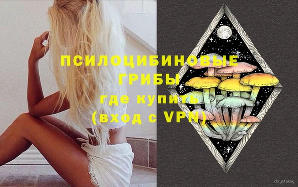 PSILOCYBIN Абдулино