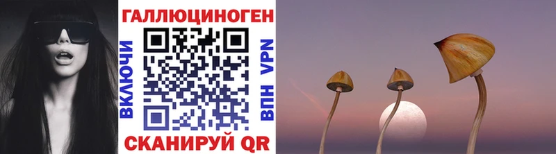 Псилоцибиновые грибы Magic Shrooms Кимовск