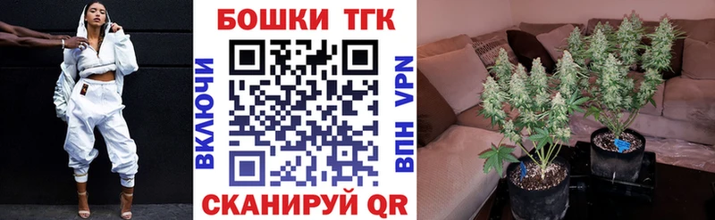 наркотики  Кимовск  Бошки марихуана семена 